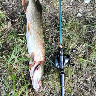 Carretilha SEASIR - 7.3:1 - Drag 8,5kg